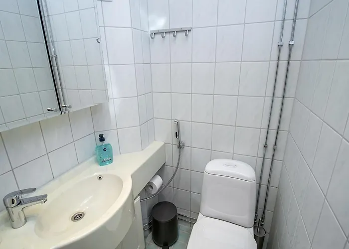 Lomariekko 6 A 2 By Interhome 萨利色尔卡