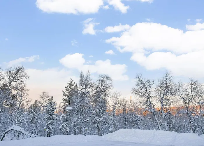 Lomariekko 6 A 2 By Interhome *